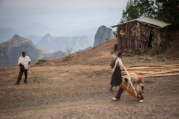 The Streets of Ethiopian Highlands