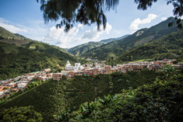 The origins of coffee. Antioquia, Colombia.